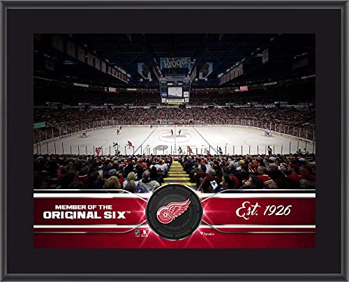 Detroit Red Wings 10" x 13" Sublimated Team Stadium Plaque - NHL Team Plaques and Collages