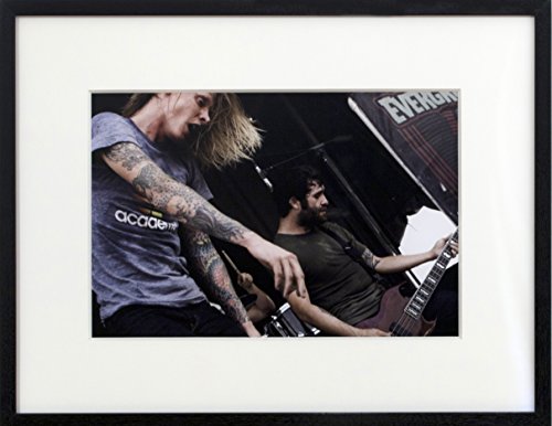 Evergreen Terrace, Vans Warped Tour”