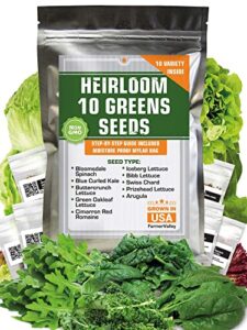 heirloom non-gmo lettuce and greens seeds variety pack for outdoor and indoor gardening & hydroponics, 5000+ seeds – kale, butter, oak, spinach, romaine bibb & more