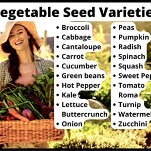 20 Vegetable & Fruit Seeds for Planting Your Outdoor & Indoor Home Seed Garden, Survival Gear Kit Includes 2900 Seeds, A Growing Guide & Mylar Package Gardening Heirloom Non-GMO Veggie Seed B&KM Farm