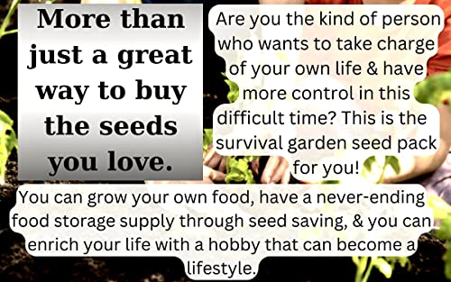 20 Vegetable & Fruit Seeds for Planting Your Outdoor & Indoor Home Seed Garden, Survival Gear Kit Includes 2900 Seeds, A Growing Guide & Mylar Package Gardening Heirloom Non-GMO Veggie Seed B&KM Farm