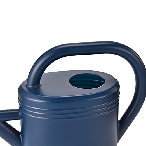 Watering Can 1 Gallon for Indoor Plants, Garden Watering Cans Outdoor Plant House Flower, Gallon Watering Can Large Long Spout with Sprinkler Head (Blue)