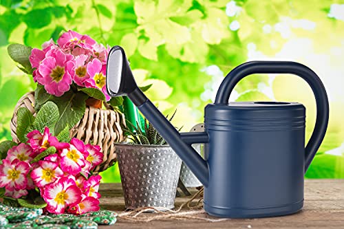 Watering Can 1 Gallon for Indoor Plants, Garden Watering Cans Outdoor Plant House Flower, Gallon Watering Can Large Long Spout with Sprinkler Head (Blue)