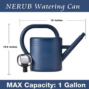 Watering Can 1 Gallon for Indoor Plants, Garden Watering Cans Outdoor Plant House Flower, Gallon Watering Can Large Long Spout with Sprinkler Head (Blue)