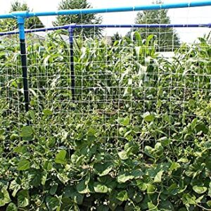 Toolazy Soft Mesh Nylon Trellis Netting Bulk Roll - 6.5 x 350 ft Heavy-Duty Garden Netting for Climbing Plants,Garden Melons Vegetables, Grape Racks, Hydroponic