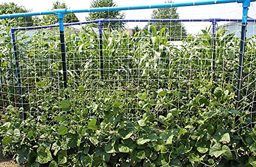 Toolazy Soft Mesh Nylon Trellis Netting Bulk Roll - 6.5 x 350 ft Heavy-Duty Garden Netting for Climbing Plants,Garden Melons Vegetables, Grape Racks, Hydroponic