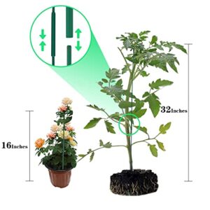 PFNRTH 4 Pack Plant Stakes,Plant Support Stakes for Two Sizes(16 or 32 Inches),Plant Stakes for Outdoor Plants,Garden Flower,Tomato(Green)