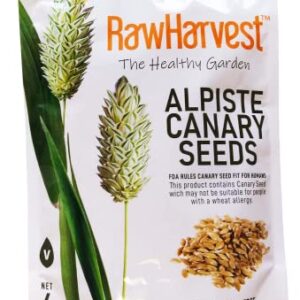 Raw Garden Canary Seed (Alpiste) (1 Pack 4 lbs) for Human Consumption, Silica Fiber Free.