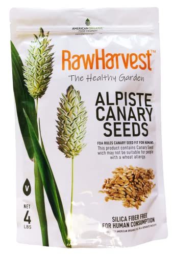 Raw Garden Canary Seed (Alpiste) (1 Pack 4 lbs) for Human Consumption, Silica Fiber Free.