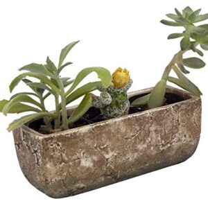 Classic Home and Garden 240001P-432 Dakota Trough, Earth Moss, Large