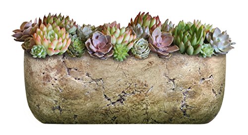 Classic Home and Garden 240001P-432 Dakota Trough, Earth Moss, Large