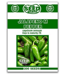 jalapeno m pepper seeds – 200 seeds non-gmo