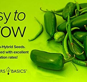 Jalapeno Pepper Seeds for Planting Heirloom Non-GMO Jalapeno Peppers Plant Seeds for Home Garden Vegetables Makes a Great Gift for Gardeners by Gardeners Basics