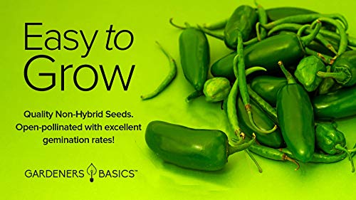 Jalapeno Pepper Seeds for Planting Heirloom Non-GMO Jalapeno Peppers Plant Seeds for Home Garden Vegetables Makes a Great Gift for Gardeners by Gardeners Basics