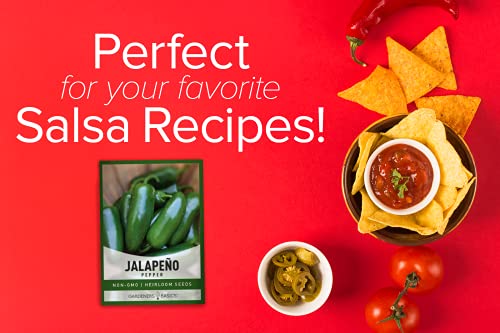 Jalapeno Pepper Seeds for Planting Heirloom Non-GMO Jalapeno Peppers Plant Seeds for Home Garden Vegetables Makes a Great Gift for Gardeners by Gardeners Basics