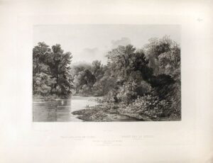 forest scene on the lehigh (pennsylvania)