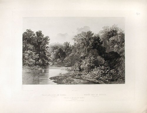 Forest Scene on the Lehigh (Pennsylvania)