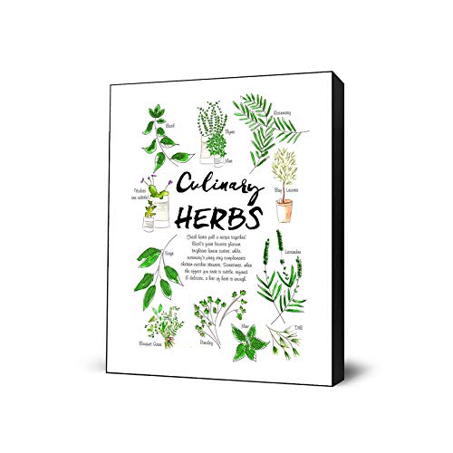 Culinary Herbs