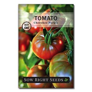 sow right seeds – cherokee purple tomato seed for planting – non-gmo heirloom packet with instructions to plant a home vegetable garden – great gardening gift (1)