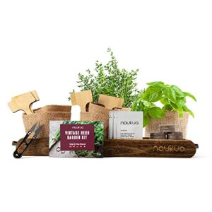 naukua vintage indoor herb garden starter kit (thyme, basil, parsley and coriander) – 100% certified usda organic non-gmo seeds – unique gift idea!