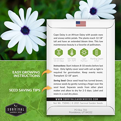 Survival Garden Seeds - Cape Daisy Seed for Planting - Packet with Instructions to Plant and Grow Beautiful White and Purple Osteospermum in Your Home Flower Garden - Non-GMO Heirloom Variety