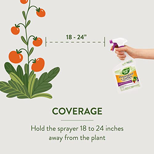 Garden Safe 32 oz. Houseplant and Garden Insect Killer Ready-to-Use