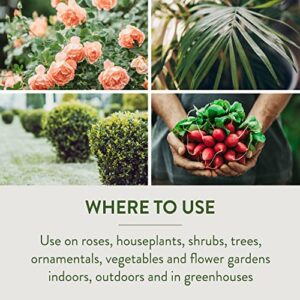 Garden Safe 32 oz. Houseplant and Garden Insect Killer Ready-to-Use