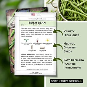 Sow Right Seeds - Contender Bush Bean Seed for Planting - Large & Delicious Green Beans to Grow - Easy to Grow, Large Pods - Non-GMO Heirloom Packet with Instructions to Plant a Home Vegetable Garden