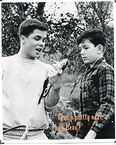 Leave It To Beaver Tony Dow Jerry Mathers original 1pg 8x10 clipping magazine photo #W1784