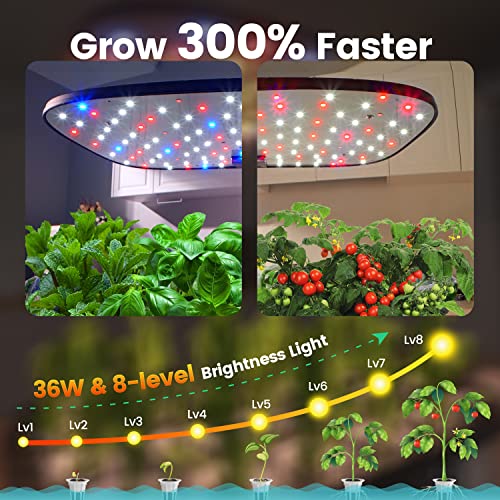 LetPot LPH-Max 21 Pods Hydroponics Growing System, [Automatic Irrigation & 3X-Faster Grow Light] Smart Hydroponics Growing System Indoor Garden, APP & WiFi Controlled Self-Managed Nurturing & Watering