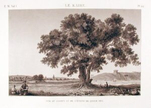 le kaire. vue du jardin et de l’etang de qasim bey