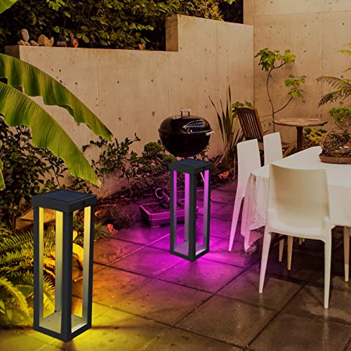 CREPOW Solar Patio Floor Lamp Outdoor, 2 Pack RGB Color Changing Landscape Path Lights Garden Decorations Waterproof 12H Endurance Cordless Landscaping for Porch Lawn Yard Backyard (Black)