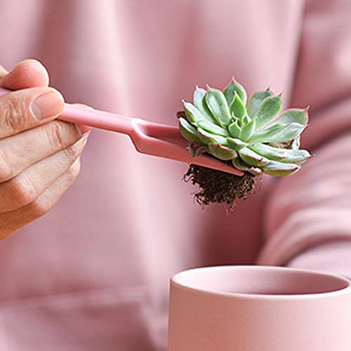 KALIM 16Pcs Succulent Plant Tools, Mini Planting/Transplanting Gardening Tool Set for Indoor Miniature Garden Plant Care(Pink)