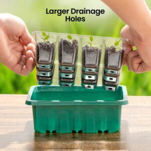 5 Pack Seed Starting Trays 12 Cells Insert Hot House Seed Starter Trays Kit for Garden Large Seedling Tray with Humidity Adjustable Dome and Base Tray Seed Greenhouse Germination Dome (5Pack_Green)