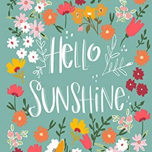 Toland Home Garden 1112560 Hello Sunshine Spring Flag 12x18 Inch Double Sided Spring Garden Flag for Outdoor House Flower Flag Yard Decoration