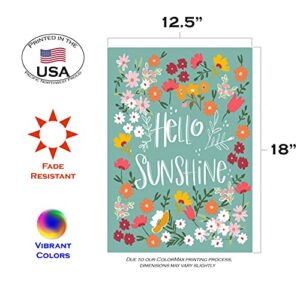 Toland Home Garden 1112560 Hello Sunshine Spring Flag 12x18 Inch Double Sided Spring Garden Flag for Outdoor House Flower Flag Yard Decoration