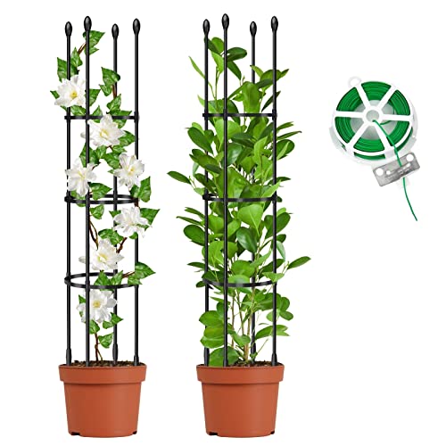 MYard 2 Pack Garden Trellis for Climbing Plants Outdoor, 71" Tall Upgraded Tomato Cage with Twist Tie, Garden Plant Support Rustproof Trellis for Potted Climbing Flower Vegetable Vine Crop