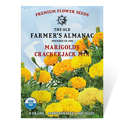 The Old Farmer's Almanac Marigold Seeds (Crackerjack Mix) - Approx 400 Flower Seeds - Premium Non-GMO, Open Pollinated