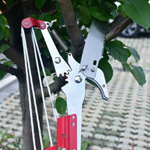 Sharp Garden Tree Pruning Saw and Pruner Head,Yenghome Tree Pruner Fruit Picker Harvester Pole Saw Tree Trimming Clipper Tool (Without Pole)