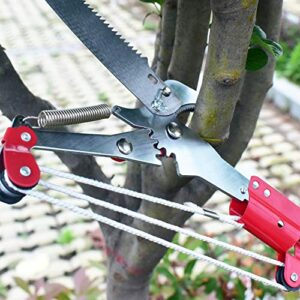 Sharp Garden Tree Pruning Saw and Pruner Head,Yenghome Tree Pruner Fruit Picker Harvester Pole Saw Tree Trimming Clipper Tool (Without Pole)