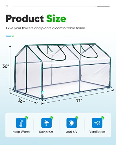 Quictent Portable Mini Cloche Greenhouse w/ Elevated Bottom, Reinforced High Light Transmission Waterproof UV-Resistant Hot House for Indoor Outdoor, w/ 50 T-Shaped Plant Tag, 71" x 36" x 36" (Clear)