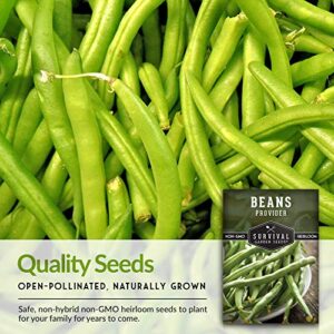 Survival Garden Seeds - Provider Bush Bean Seed for Planting - Packet with Instructions to Plant and Grow Stringless Green Beans in Your Home Vegetable Garden - Non-GMO Heirloom Variety