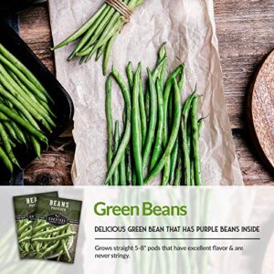 Survival Garden Seeds - Provider Bush Bean Seed for Planting - Packet with Instructions to Plant and Grow Stringless Green Beans in Your Home Vegetable Garden - Non-GMO Heirloom Variety