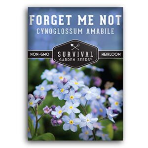 survival garden seeds – forget me not seed for planting – packet with instructions to plant and grow tiny blue flowers in your home vegetable or flower garden – non-gmo heirloom variety