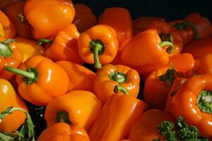 sweet bell pepper seeds “sweet horizon” – juicy and sweet orange bell-shaped peppers | heirloom seeds by liliana’s garden |