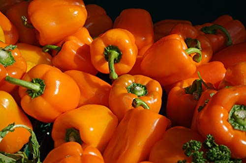 Sweet Bell Pepper Seeds “Sweet Horizon” - Juicy and Sweet Orange Bell-Shaped Peppers | Heirloom Seeds by Liliana's Garden |