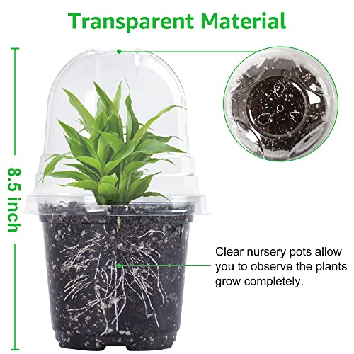 Bonviee 36 Packs 3.5/4/5 Inch Clear Nursery Pots with Humidity Domes, Variety Sizes Seed Starting Pots with Drainage Holes, Transparent Garden Containers for Succulents, Flowers and Cactus-Clear