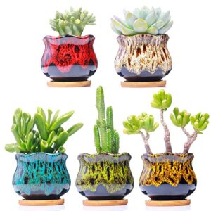 cute ceramic succulent garden pots, planter with drainage and attached saucer, set of 5 – plants not included (fambe)