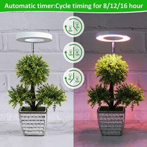 ROMSTO Grow Lights for Indoor Plants, LED Full Spectrum Plant Light for Indoor Plants, Height Adjustable Grow Light with 10 Dimmable Brightness, 8/12/16H On/Off Timer, Ideal for Small Plants, 2 Packs