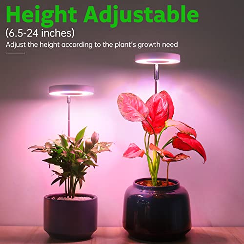 ROMSTO Grow Lights for Indoor Plants, LED Full Spectrum Plant Light for Indoor Plants, Height Adjustable Grow Light with 10 Dimmable Brightness, 8/12/16H On/Off Timer, Ideal for Small Plants, 2 Packs